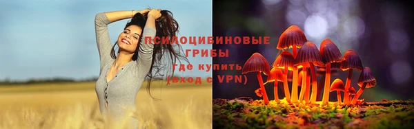 героин Алексин