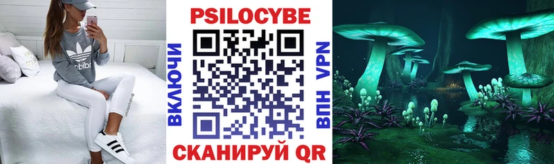 магазин  наркотиков  Николаевск  Галлюциногенные грибы GOLDEN TEACHER 